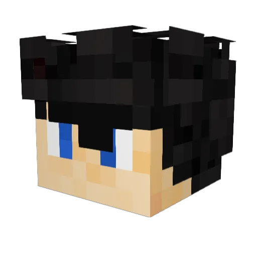 DemonWing90 Minecraft avatar head, 3D render