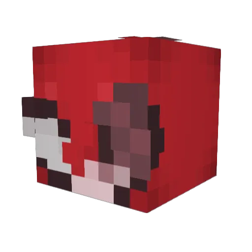 Demondhunter01 Minecraft avatar head, 3D render
