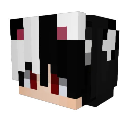 DemondsGamers Minecraft avatar head, 3D render