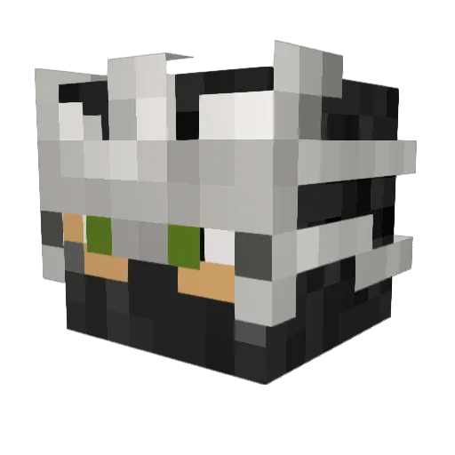 DemonicJello Minecraft avatar head, 3D render