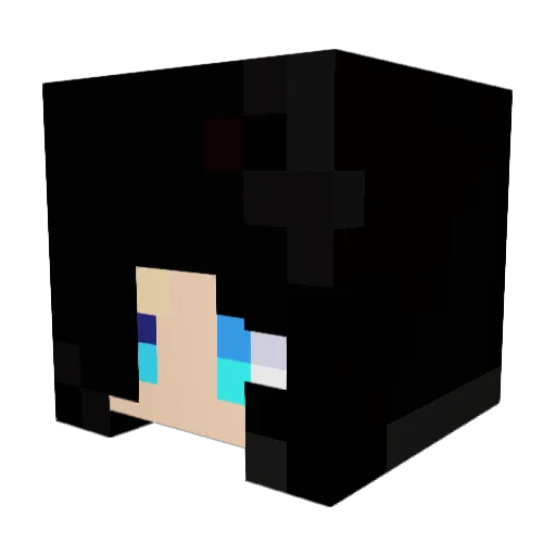Demonking996 Minecraft avatar head, 3D render