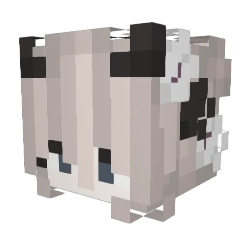 DemonssLord Minecraft avatar head, 3D render