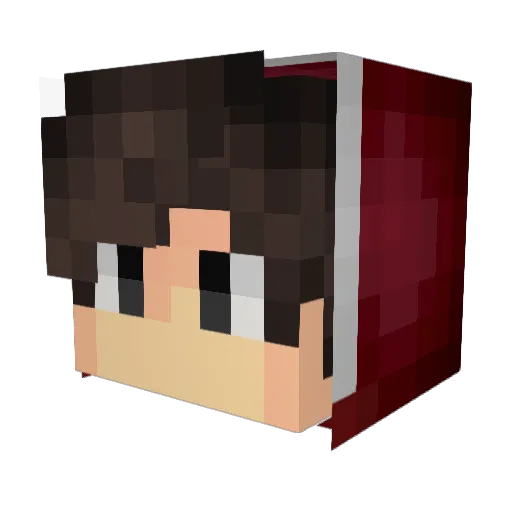 Demoo12345 Minecraft avatar head, 3D render
