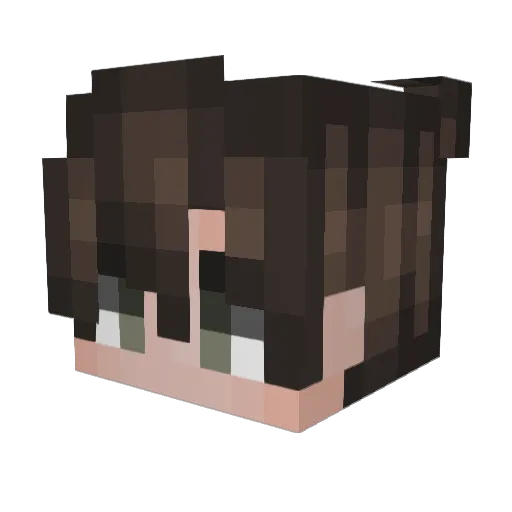 Demosate Minecraft avatar head, 3D render
