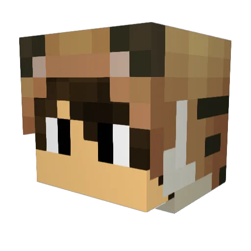 Den4uk1 Minecraft avatar head, 3D render