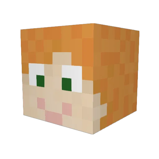 DenHIM Minecraft avatar head, 3D render