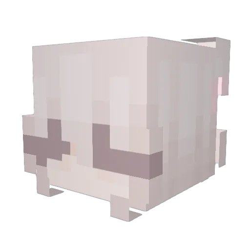 Dendenzel Minecraft avatar head, 3D render