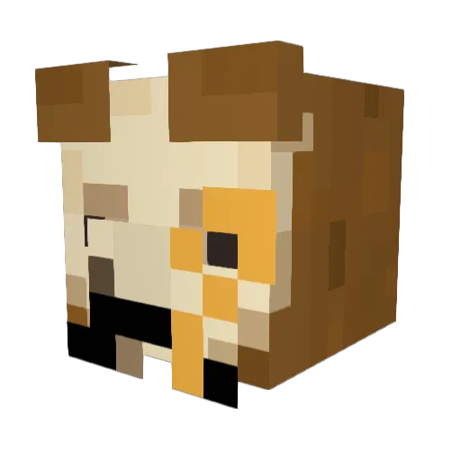 Dendicek Minecraft avatar head, 3D render