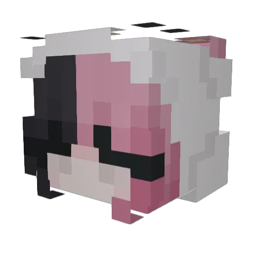Dendilion11 Minecraft avatar head, 3D render
