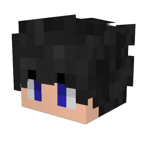 Dendysekk77 Minecraft avatar head, 3D render