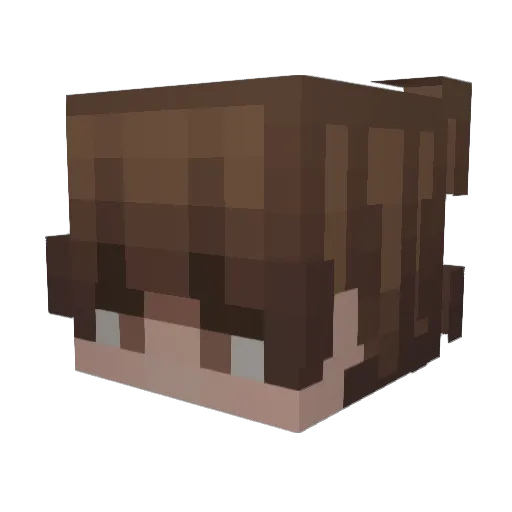 Denefitz Minecraft avatar head, 3D render