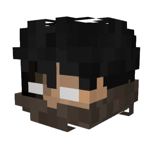 Dengiro Minecraft avatar head, 3D render