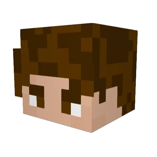 Denhan Minecraft avatar head, 3D render