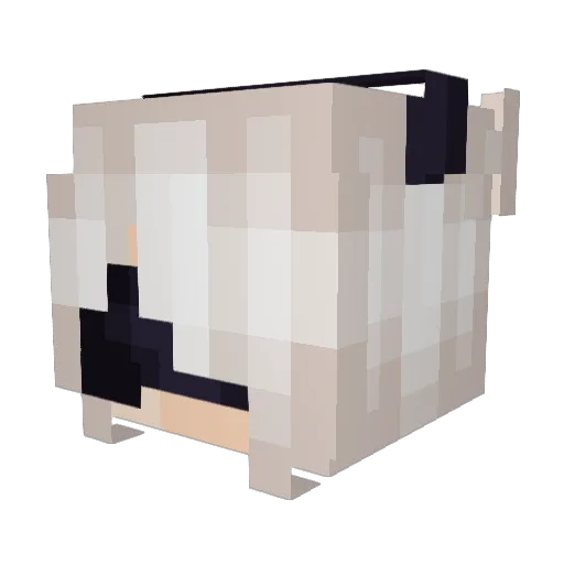 Deni118 Minecraft avatar head, 3D render