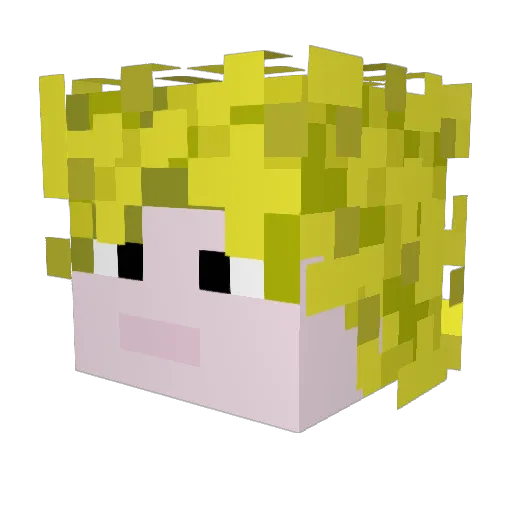 Deni3000 Minecraft avatar head, 3D render