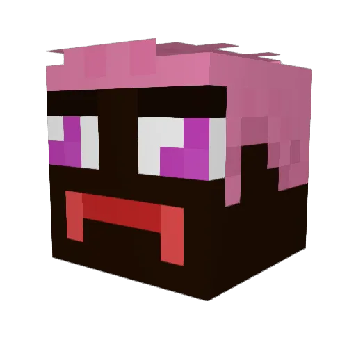 DeniedHawk57137 Minecraft avatar head, 3D render