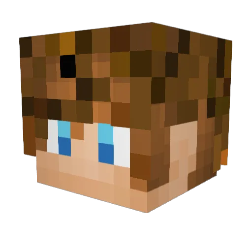 Denied__ Minecraft avatar head, 3D render