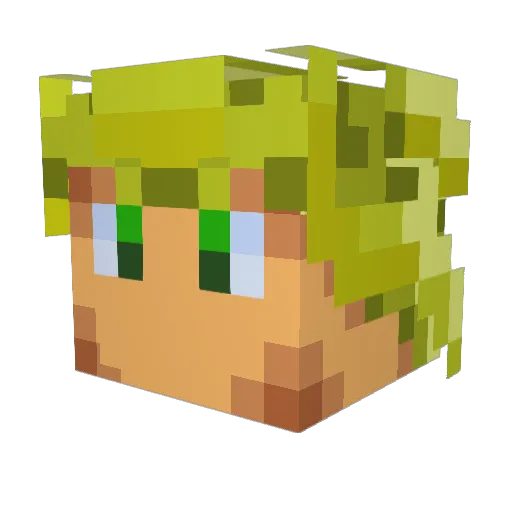 DenielT22 Minecraft avatar head, 3D render