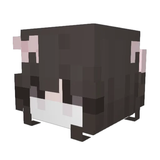 Denisee_ Minecraft avatar head, 3D render
