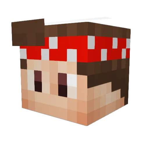 Denisundso Minecraft avatar head, 3D render