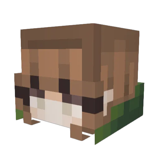 Denitia Minecraft avatar head, 3D render