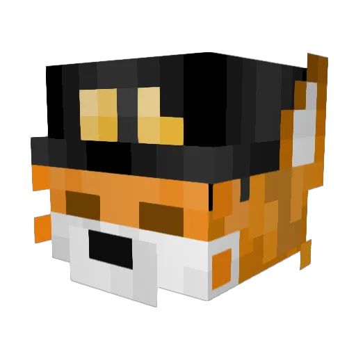 Deniz1YT Minecraft avatar head, 3D render
