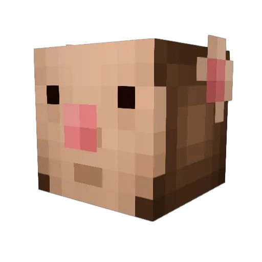 DenizBulut39 Minecraft avatar head, 3D render