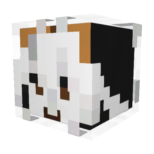 DenizhanAktBy Minecraft avatar head, 3D render