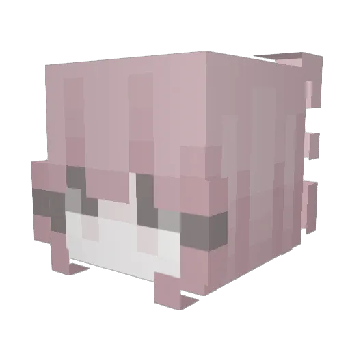 Denjii__ Minecraft avatar head, 3D render
