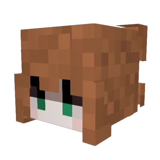 Dennacara Minecraft avatar head, 3D render