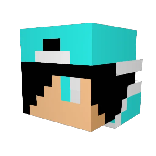Dennis839 Minecraft avatar head, 3D render