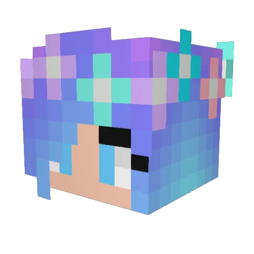 Denny020 Minecraft avatar head, 3D render
