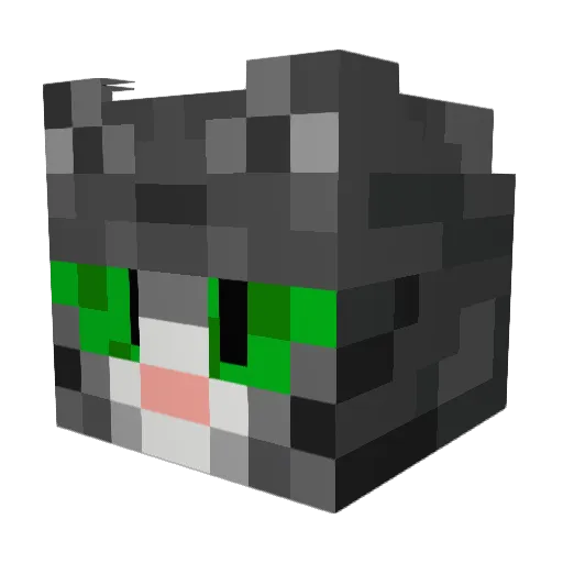 DenseKitten8383 Minecraft avatar head, 3D render