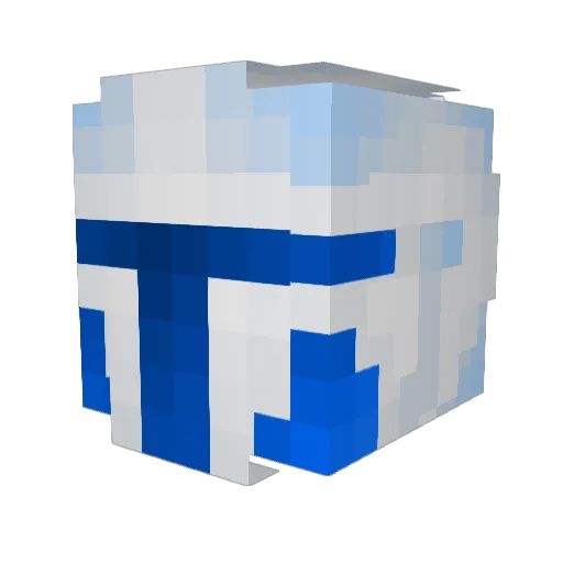Densh1 Minecraft avatar head, 3D render