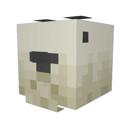 DentedSheep4798 Minecraft avatar head, 3D render