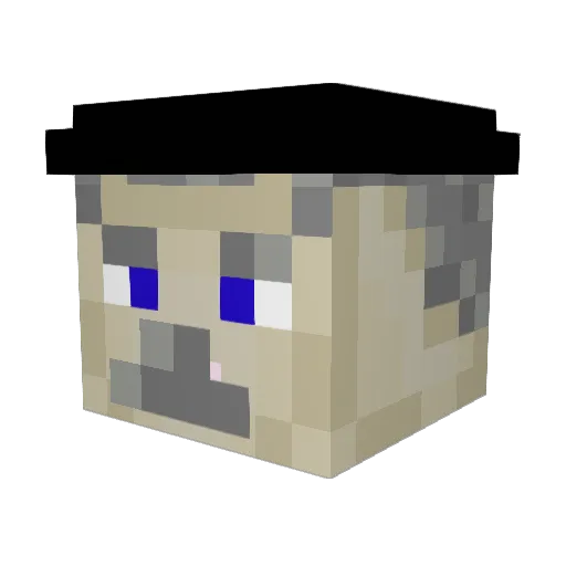 Dentonbogdan Minecraft avatar head, 3D render
