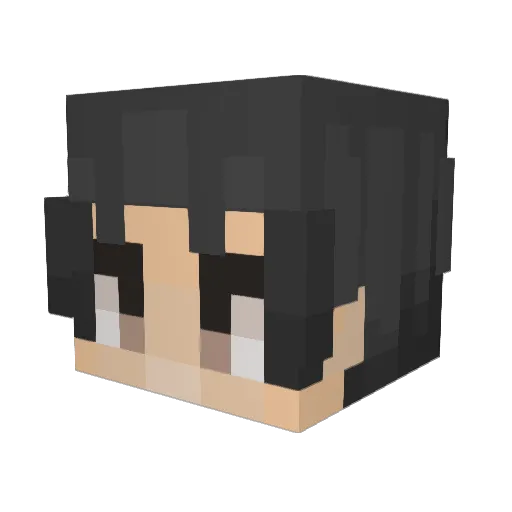 DenverIllini Minecraft avatar head, 3D render