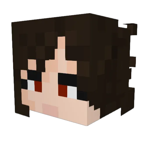 DeplorableHB Minecraft avatar head, 3D render
