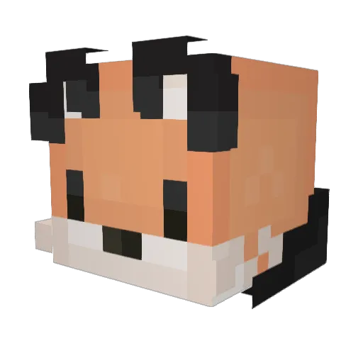 DepressedCatFox Minecraft avatar head, 3D render