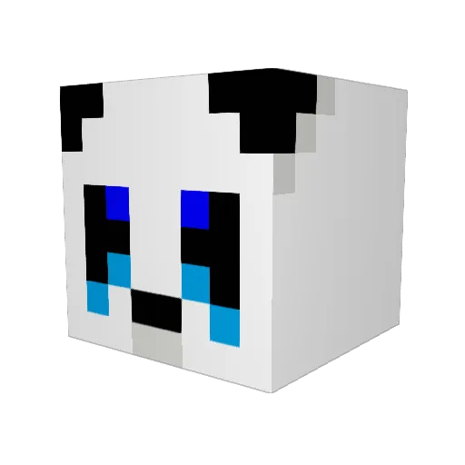 DepressedPanda Minecraft avatar head, 3D render