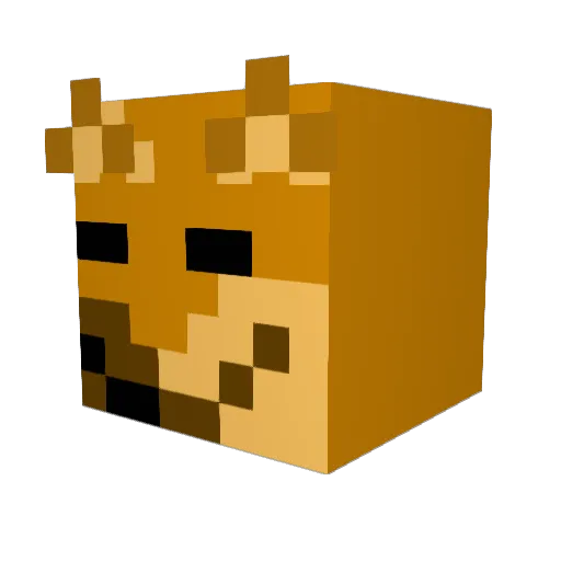 DepressingRice Minecraft avatar head, 3D render