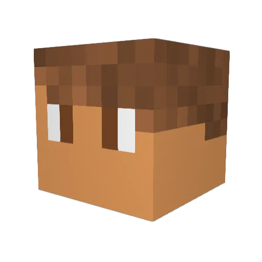 Dequnn Minecraft avatar head, 3D render