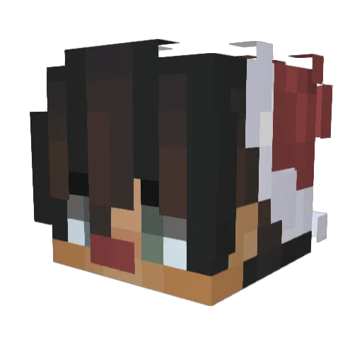 DerAuslxnder Minecraft avatar head, 3D render