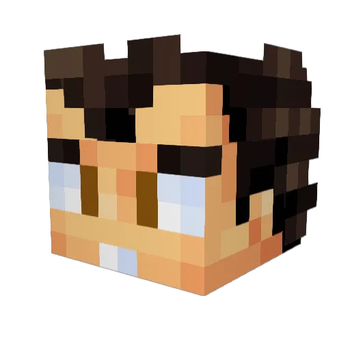 DerBAYER1 Minecraft avatar head, 3D render
