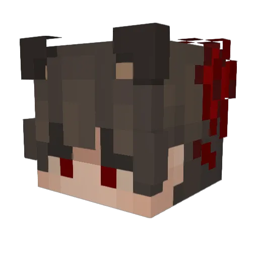 DerBayer_ Minecraft avatar head, 3D render