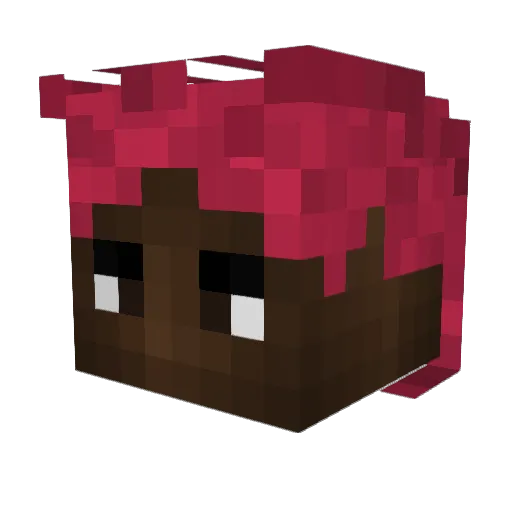 DerBear18 Minecraft avatar head, 3D render