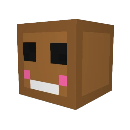 DerBelgianer222 Minecraft avatar head, 3D render