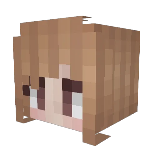 DerBeste_ Minecraft avatar head, 3D render