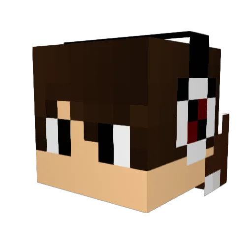 DerBioversager Minecraft avatar head, 3D render