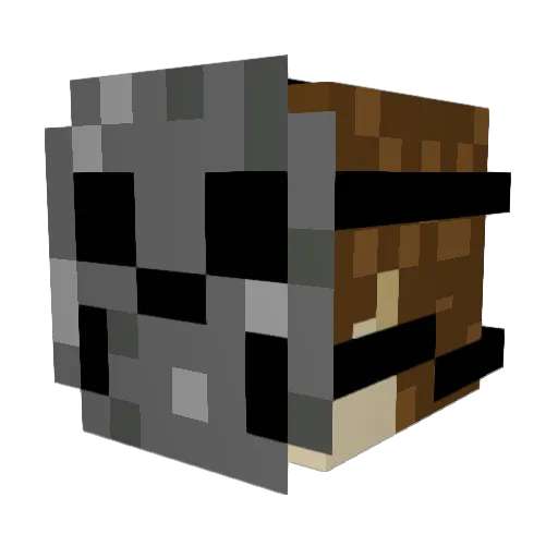 DerCaptain_Salty Minecraft avatar head, 3D render